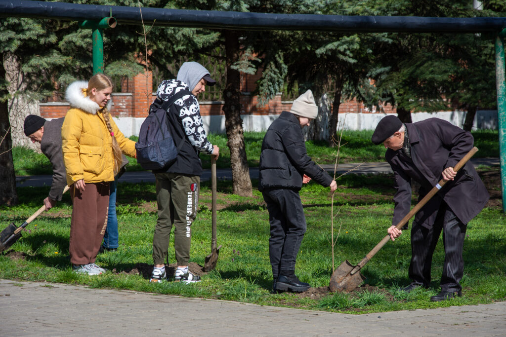 На фото: Г.И. Кирсанов вместе со школьниками СОШ №7 сажает клёны в Парке Победы города Изобильный